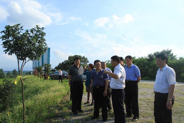 信陽市市長鄭志強陪同國家農業部領導到廣義國家級茶葉標準園調研